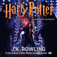 Harry_Potter_ve_Z__mr__d__anka_Yolda__l______